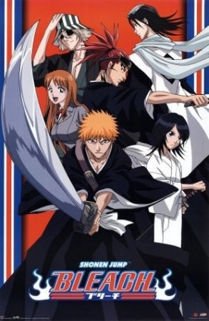 bleach-dvd-300x460