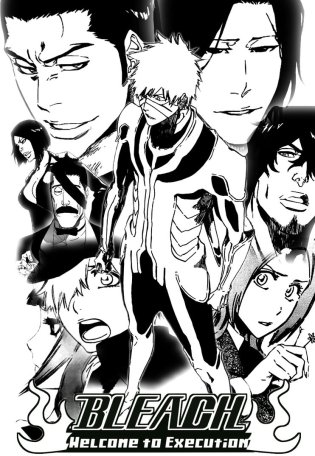 bleach_execution_poster_by_luisabenedetti-d3jsizp